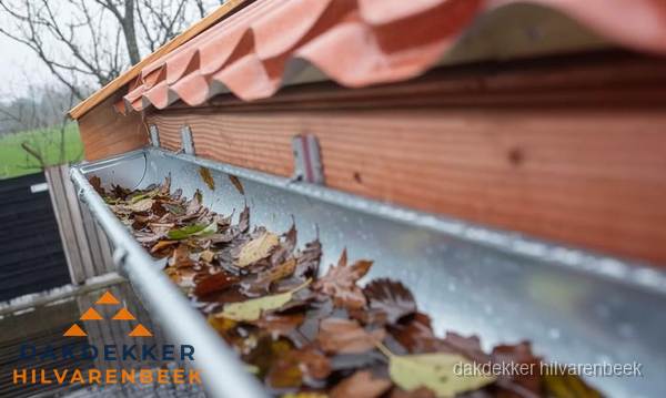 Dakgoot vol bladeren die gereinigd moet worden in Hilvarenbeek Dakgoot vol bladeren die gereinigd moet worden in Hilvarenbeek