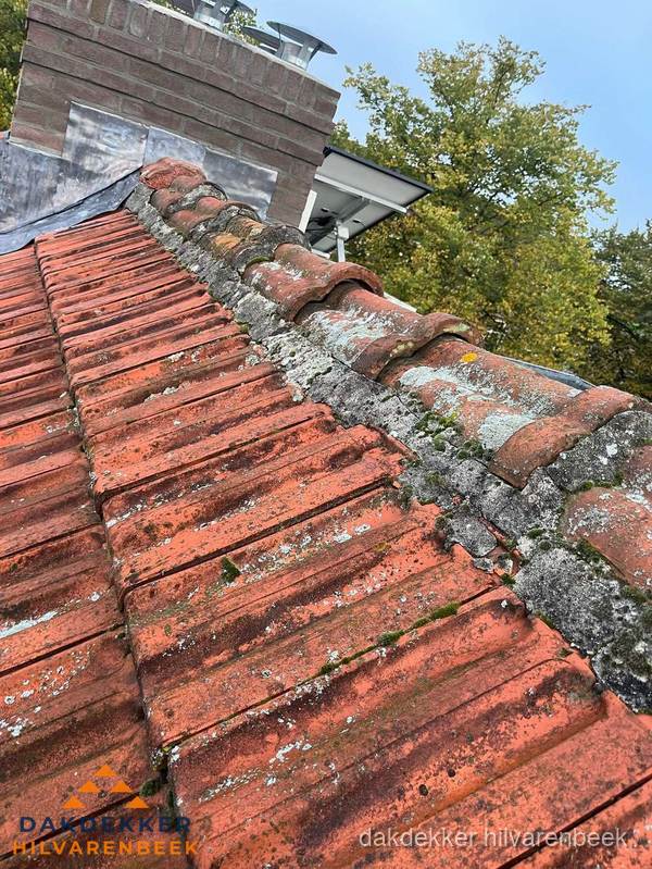 Verweerd hellend dak met mosgroei op nokvorst in Hilvarenbeek Verweerd hellend dak met mosgroei op nokvorst in Hilvarenbeek