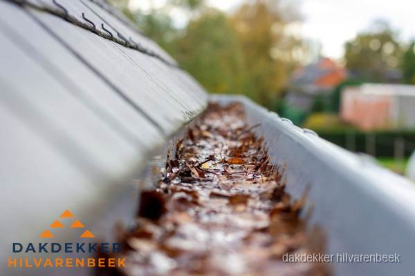 Verstopte dakgoot met bladeren schoonmaken in Hilvarenbeek Verstopte dakgoot met bladeren schoonmaken in Hilvarenbeek
